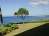 Kauai Beachfront Condos
